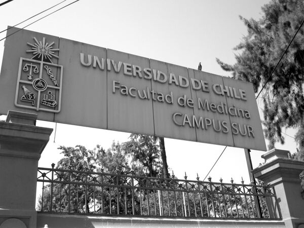 La Tía Doris: chilena incansable y profesora de la vida - Sputnik Mundo