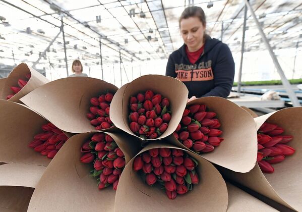 Así se preparan en Rusia para felicitar a las mujeres en su día
 - Sputnik Mundo