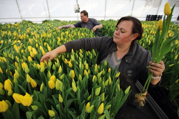 Regalar flores a una mujer en Rusia es toda una ciencia - Sputnik Mundo