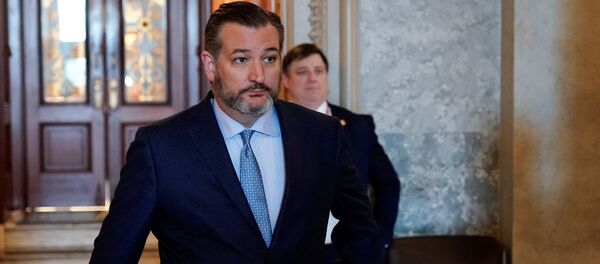 El senador y excandidato presidencial Ted Cruz - Sputnik Mundo