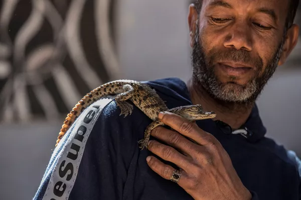 En este lugar del mundo los cocodrilos son mascotas
 - Sputnik Mundo