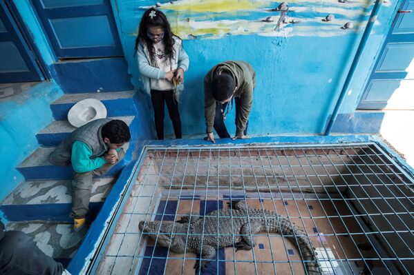 En este lugar del mundo los cocodrilos son mascotas
 - Sputnik Mundo