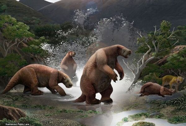 Ilustración del 'Oreomylodon wegneri' elaborada a partir de los hallazgos - Sputnik Mundo