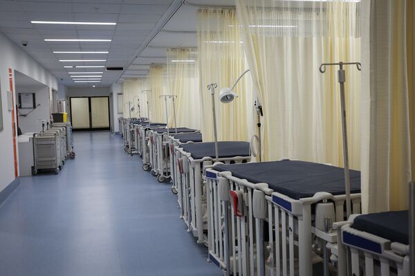 Chile en la fase 4 del coronavirus entre medidas indigestas - Sputnik Mundo