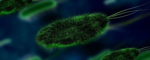 Virus. Bacteria. Imagen referencial Virus. Bacteria. Imagen referencial - Sputnik Mundo