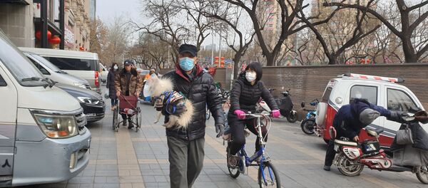 Unos chinos con un perro (imagen referencial) - Sputnik Mundo