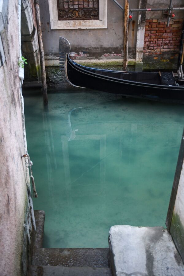 Cómo se han limpiado los canales de Venecia por el coronavirus

 - Sputnik Mundo