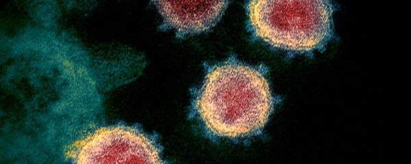 SARS-CoV-2 - Sputnik Mundo
