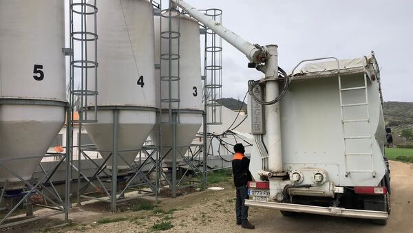 Agricultures españoles trabajan a pesar de la crisis - Sputnik Mundo