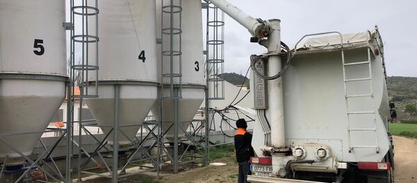 Agricultures españoles trabajan a pesar de la crisis - Sputnik Mundo