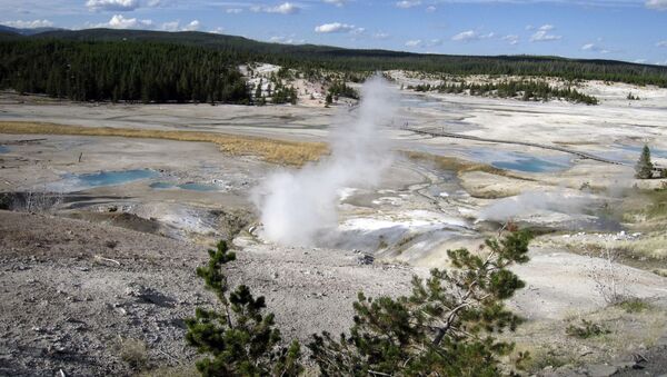 Géiser Norris en el Parque Nacional de Yellowstone  - Sputnik Mundo