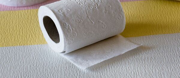 papel higiénico - Sputnik Mundo