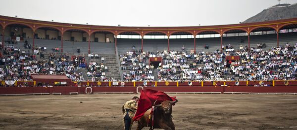 Plaza de toros de Acho - Sputnik Mundo