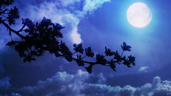 La Luna