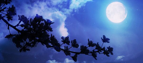 La Luna - Sputnik Mundo