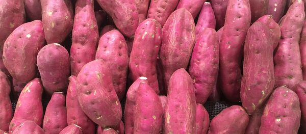 Papas dulces, camotes, boniatos. Imagen referencial - Sputnik Mundo