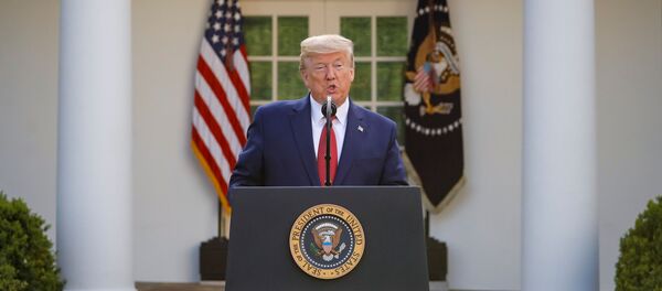 Donald Trump, presidente de EEUU - Sputnik Mundo