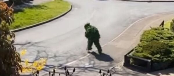 Cuando no eres un hombre, sino un arbusto - Sputnik Mundo