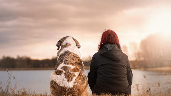 Amistad perro y humano - Sputnik Mundo