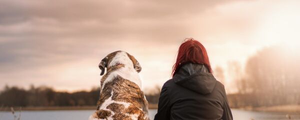 Amistad perro y humano - Sputnik Mundo