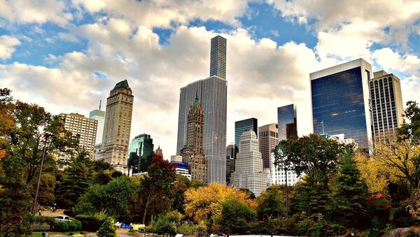 Vista del Central Park, en Manhattan, Nueva York - Sputnik Mundo