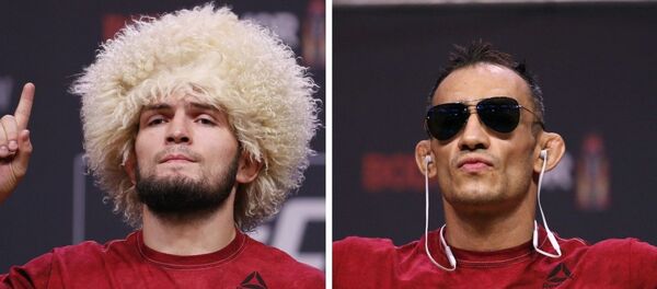 Khabib Nurmagomédov y Tony Ferguson, luchadores de artes marciales mixtas - Sputnik Mundo