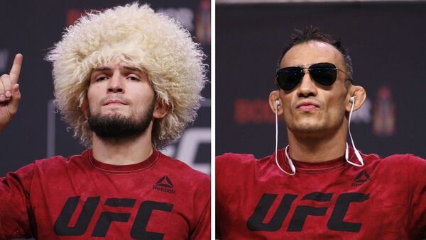 Khabib Nurmagomédov y Tony Ferguson, luchadores de artes marciales mixtas - Sputnik Mundo