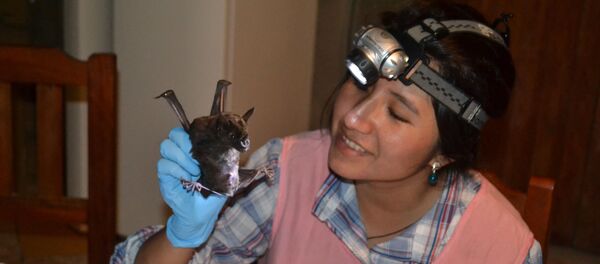 Raquel Galeón, la investigadora boliviana, experta en murciélagos - Sputnik Mundo