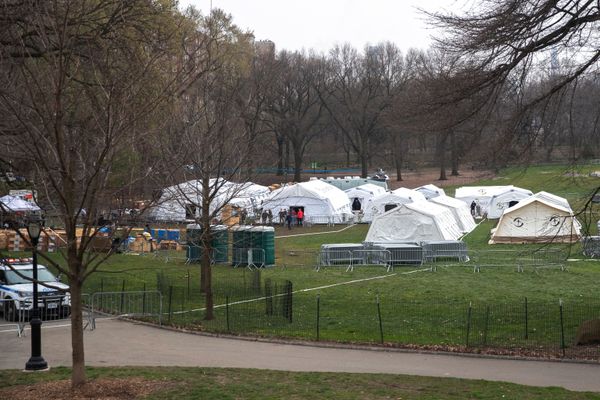 El hospital de campaña del Central Park de Nueva York, en imágenes - Sputnik Mundo