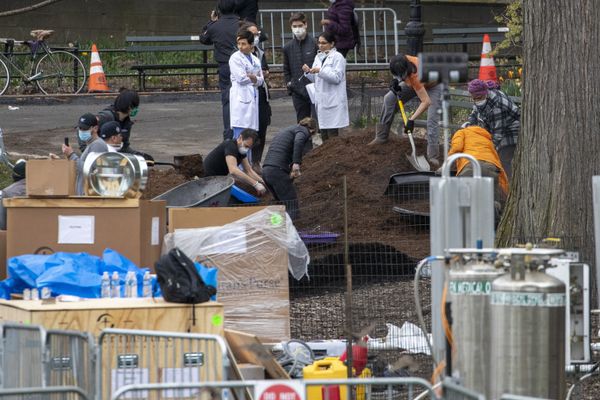 El hospital de campaña del Central Park de Nueva York, en imágenes - Sputnik Mundo