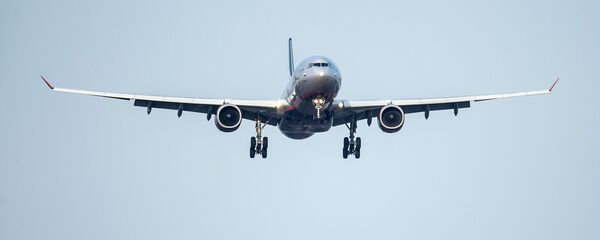 Un avión - Sputnik Mundo