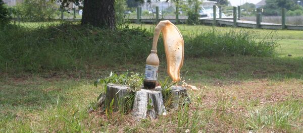 Una explosión provocada por la mezcla de mentos con una bebida de cola - Sputnik Mundo