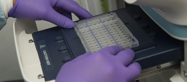 Máquina para pruebas de PCR (imagen referencial) - Sputnik Mundo