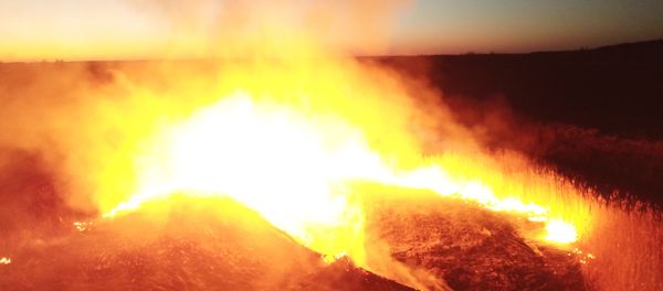 Un incendio en Chernóbil provoca un salto en los niveles de radiación Un incendio en Chernóbil provoca un salto en los niveles de radiación - Sputnik Mundo