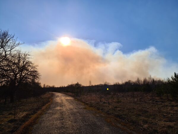 Un incendio en Chernóbil provoca un salto en los niveles de radiación - Sputnik Mundo