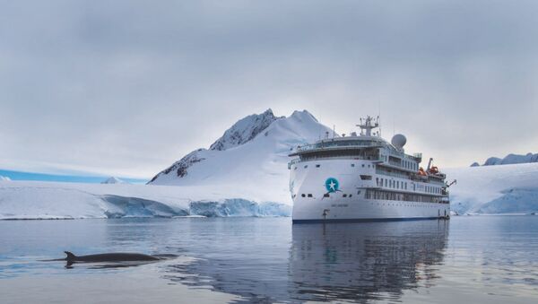 El crucero de bandera australiana Greg Mortimer, varado en aguas de Uruguay El crucero de bandera australiana Greg Mortimer, varado en aguas de Uruguay - Sputnik Mundo
