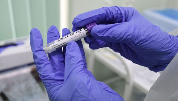 Kit de prueba de coronavirus en Rusia - Sputnik Mundo