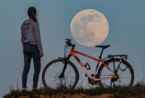 Así fue la 'superluna rosa' en distintos rincones del mundo

 - Sputnik Mundo