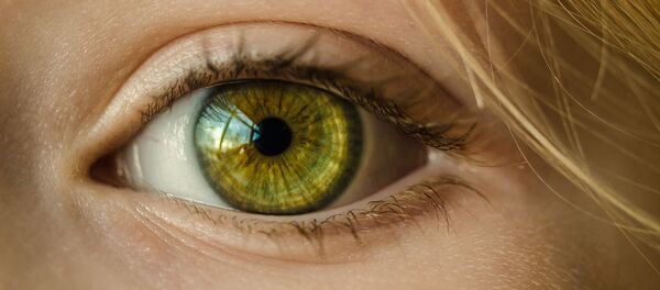 Visión (imagen referencial) - Sputnik Mundo