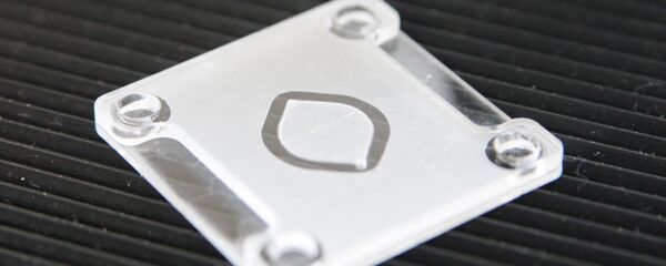 El chip del nuevo sistema de pruebas de coronavirus - Sputnik Mundo