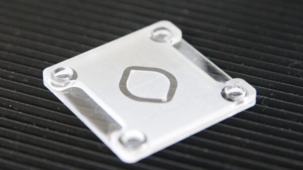 El chip del nuevo sistema de pruebas de coronavirus - Sputnik Mundo