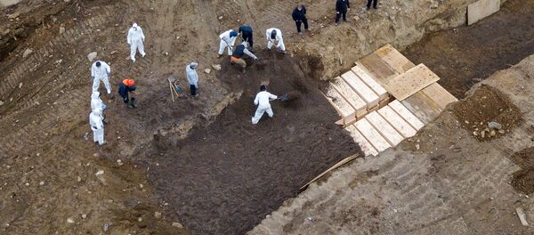 Excavación de fosas comunes en la isla de Hart, Nueva York - Sputnik Mundo