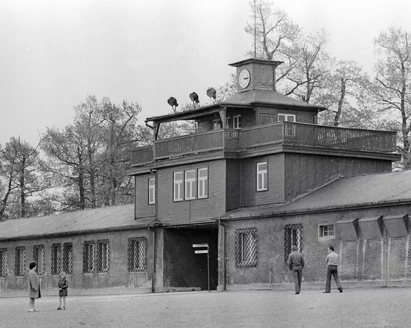 Buchenwald, la fábrica de la muerte que Alemania quiere olvidar Buchenwald, la fábrica de la muerte que Alemania quiere olvidar - Sputnik Mundo