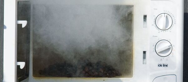 Un microondas - Sputnik Mundo