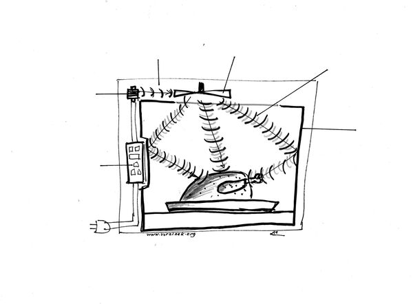 Estos son los productos que podrían ser letales tras ser calentados en el microondas - Sputnik Mundo