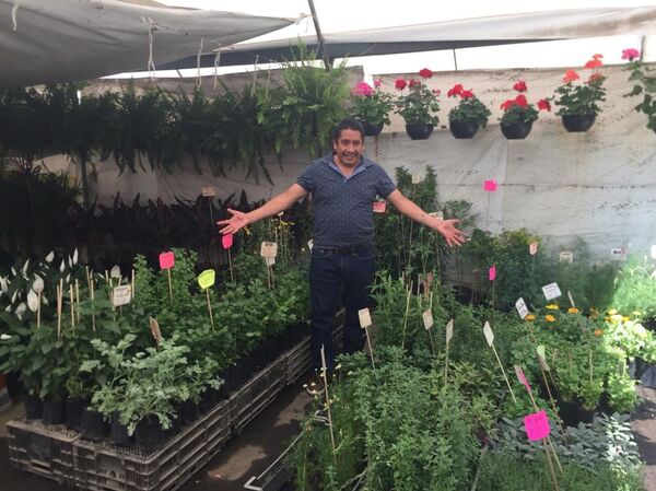 El coronavirus marca el renacer de la medicina tradicional en México - Sputnik Mundo