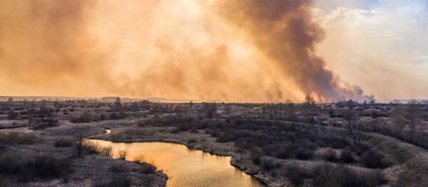 Пожар в зоне отчуждения Чернобыльской АЭС - Sputnik Mundo