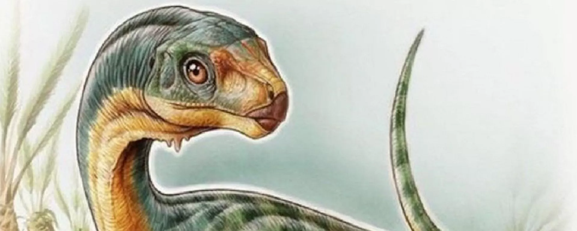 'Chilesaurus diegosuarezi' (Ilustración de Gabriel Lio) 'Chilesaurus diegosuarezi' (Ilustración de Gabriel Lio) - Sputnik Mundo, 1920, 14.04.2020