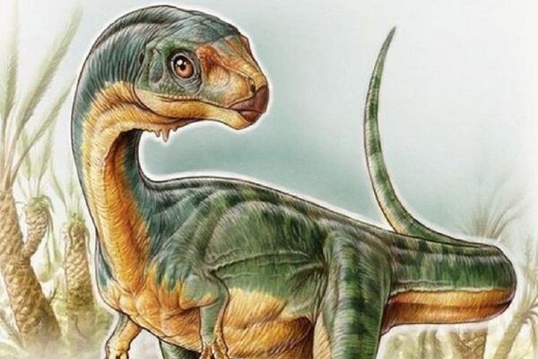 'Chilesaurus diegosuarezi' (Ilustración de Gabriel Lio) - Sputnik Mundo