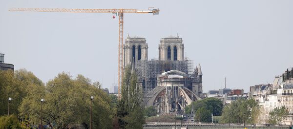 La Catedral de Notre Dame de París - Sputnik Mundo